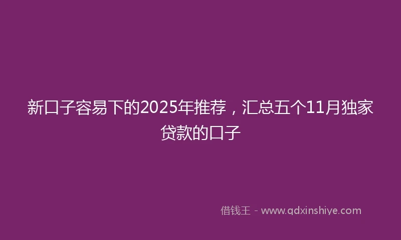 新口子容易下的2025年推荐，汇总五个11月独家贷款的口子