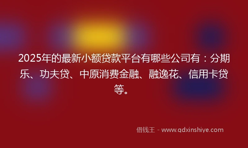 2025年的最新小额贷款平台有哪些公司有：分期乐、功夫贷、中原消费金融、融逸花、信用卡贷等。