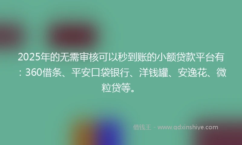 2025年的无需审核可以秒到账的小额贷款平台有：360借条、平安口袋银行、洋钱罐、安逸花、微粒贷等。