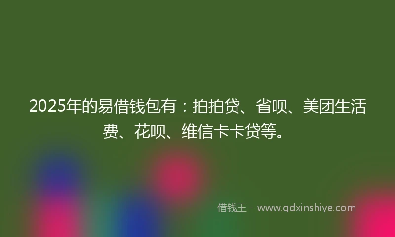 2025年的易借钱包有：拍拍贷、省呗、美团生活费、花呗、维信卡卡贷等。