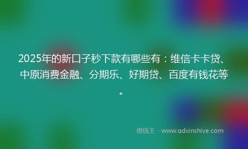 2025年的新口子秒下款有哪些有：维信卡卡贷、中原消费金融、分期乐、好期贷、百度有钱花等。