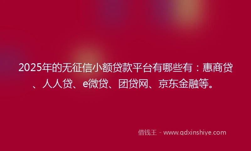 2025年的无征信小额贷款平台有哪些有：惠商贷、人人贷、e微贷、团贷网、京东金融等。