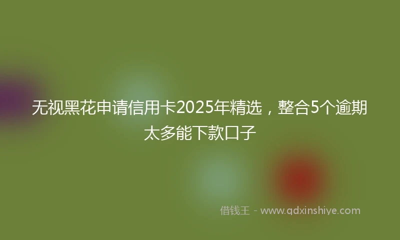无视黑花申请信用卡2025年精选，整合5个逾期太多能下款口子