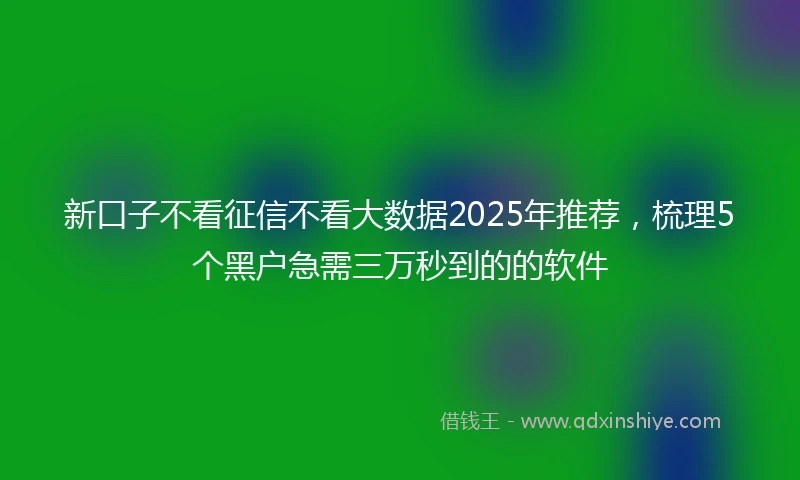 新口子不看征信不看大数据2025年推荐，梳理5个黑户急需三万秒到的的软件