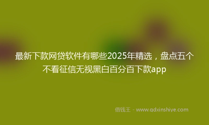 最新下款网贷软件有哪些2025年精选,盘点五个不看征信无视黑白百分百下款app