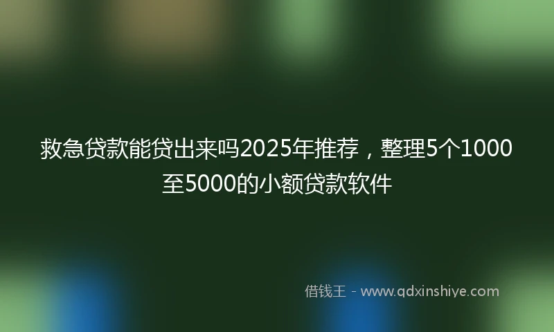 救急贷款能贷出来吗2025年推荐，整理5个1000至5000的小额贷款软件