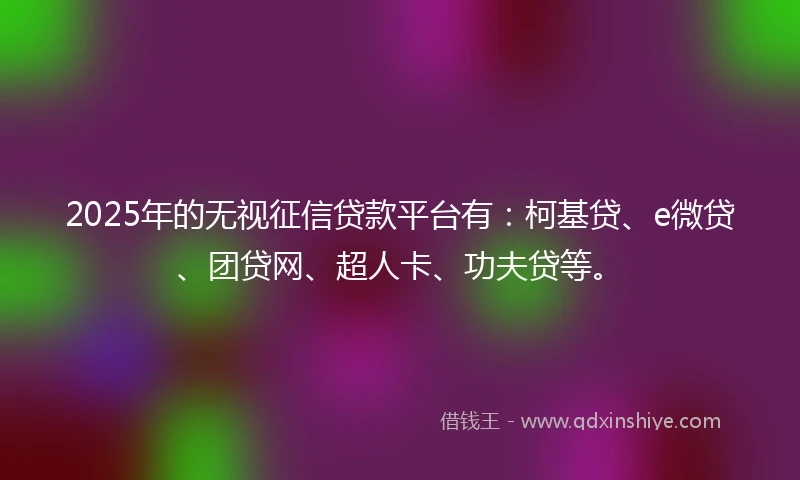 2025年的无视征信贷款平台有：柯基贷、e微贷、团贷网、超人卡、功夫贷等。