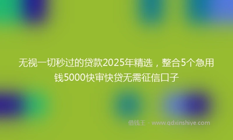 无视一切秒过的贷款2025年精选，整合5个急用钱5000快审快贷无需征信口子