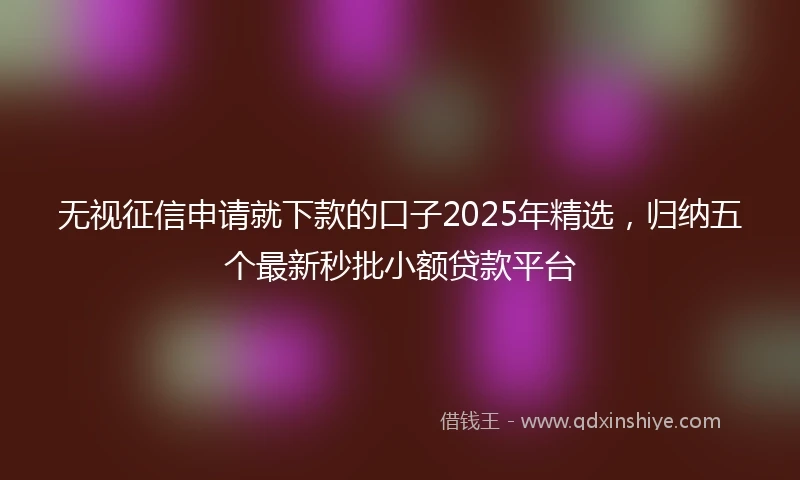 无视征信申请就下款的口子2025年精选，归纳五个最新秒批小额贷款平台