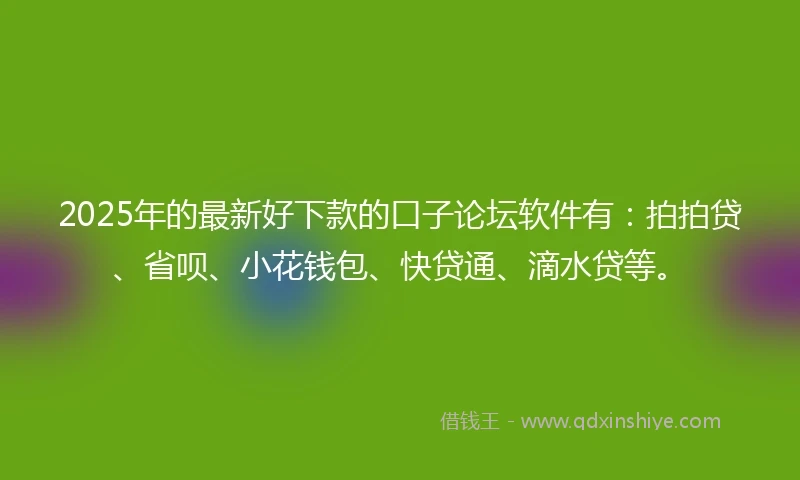 2025年的最新好下款的口子论坛软件有:拍拍贷、省呗、小花钱包、快贷通、滴水贷等。