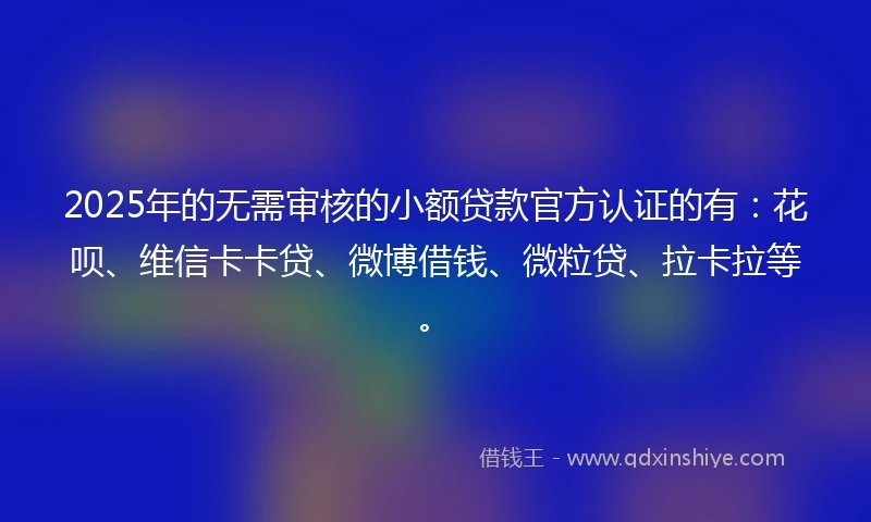 2025年的无需审核的小额贷款官方认证的有：花呗、维信卡卡贷、微博借钱、微粒贷、拉卡拉等。