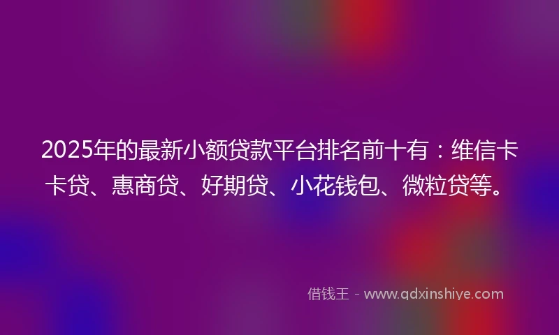 2025年的最新小额贷款平台排名前十有：维信卡卡贷、惠商贷、好期贷、小花钱包、微粒贷等。
