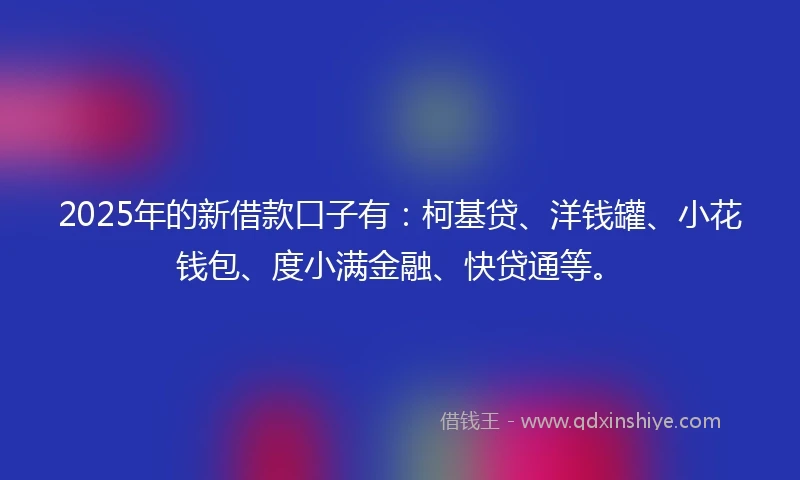 2025年的新借款口子有：柯基贷、洋钱罐、小花钱包、度小满金融、快贷通等。