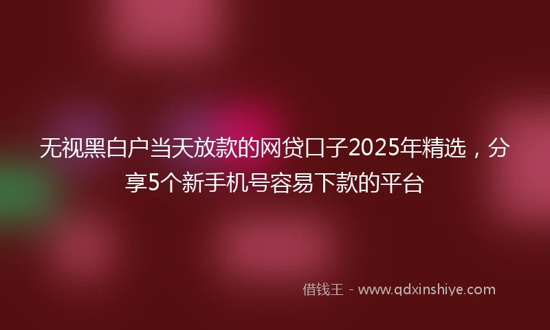 无视黑白户当天放款的网贷口子2025年精选，分享5个新手机号容易下款的平台