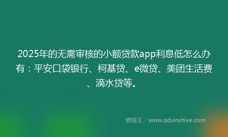 2025年的无需审核的小额贷款app利息低怎么办有：平安口袋银行、柯基贷、e微贷、美团生活费、滴水贷等。