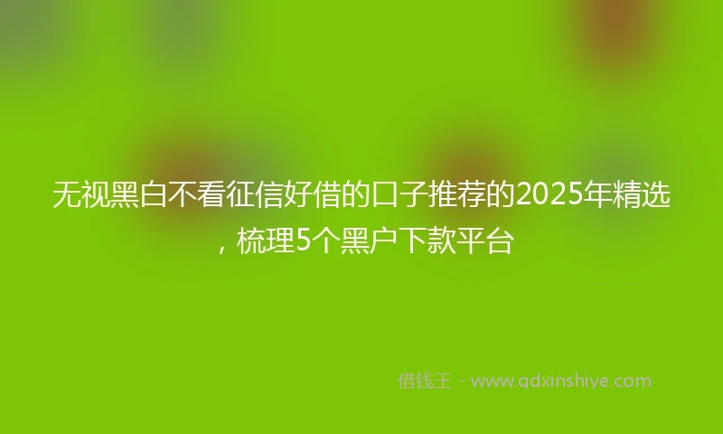 无视黑白不看征信好借的口子推荐的2025年精选，梳理5个黑户下款平台