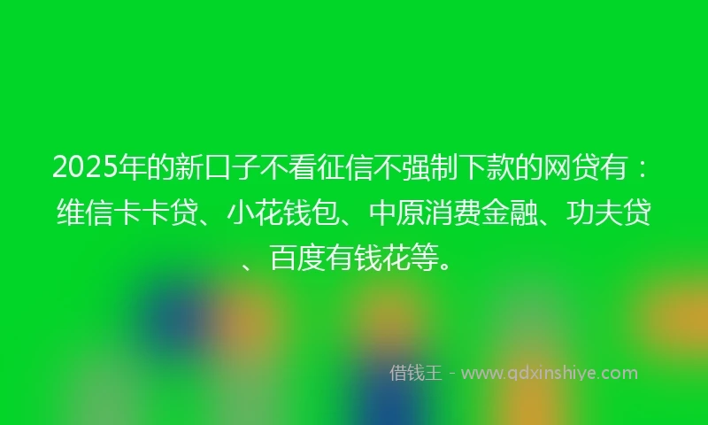 2025年的新口子不看征信不强制下款的网贷有:维信卡卡贷、小花钱包、中原消费金融、功夫贷、百度有钱花等。