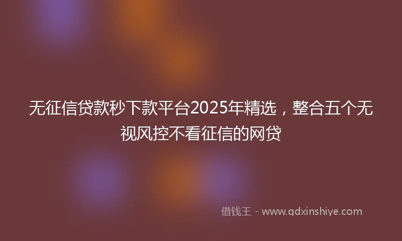 无征信贷款秒下款平台2025年精选，整合五个无视风控不看征信的网贷