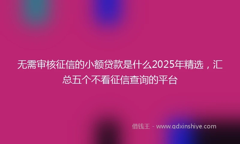 无需审核征信的小额贷款是什么2025年精选，汇总五个不看征信查询的平台