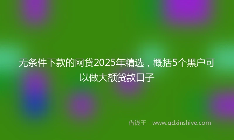 无条件下款的网贷2025年精选，概括5个黑户可以做大额贷款口子