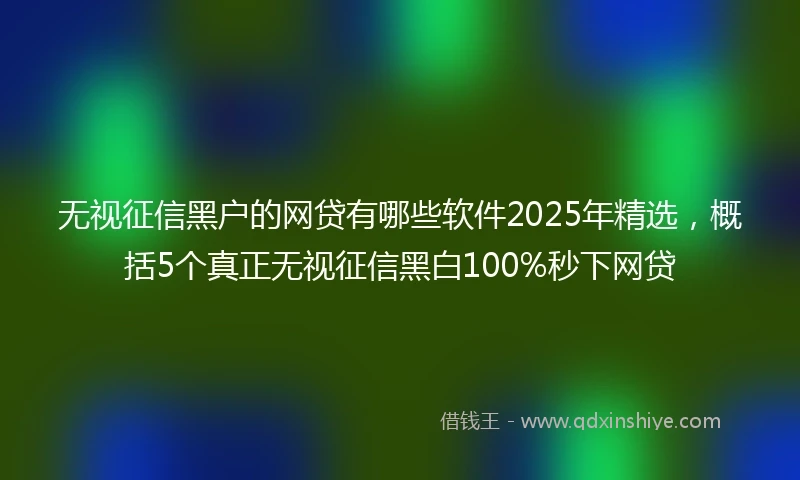 无视征信黑户的网贷有哪些软件2025年精选，概括5个真正无视征信黑白100%秒下网贷