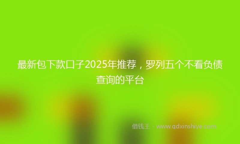 最新包下款口子2025年推荐，罗列五个不看负债查询的平台