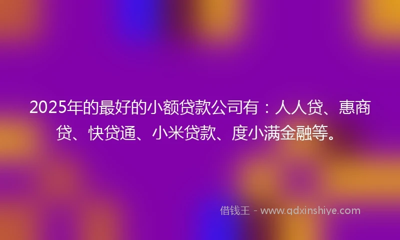 2025年的最好的小额贷款公司有：人人贷、惠商贷、快贷通、小米贷款、度小满金融等。