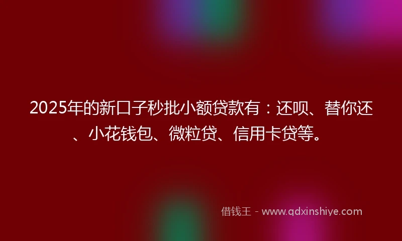 2025年的新口子秒批小额贷款有：还呗、替你还、小花钱包、微粒贷、信用卡贷等。