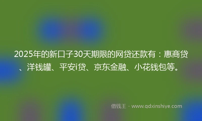 2025年的新口子30天期限的网贷还款有：惠商贷、洋钱罐、平安i贷、京东金融、小花钱包等。