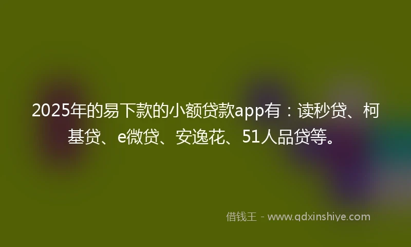 2025年的易下款的小额贷款app有：读秒贷、柯基贷、e微贷、安逸花、51人品贷等。
