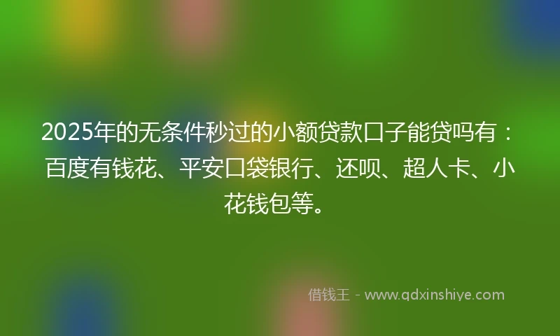 2025年的无条件秒过的小额贷款口子能贷吗有：百度有钱花、平安口袋银行、还呗、超人卡、小花钱包等。