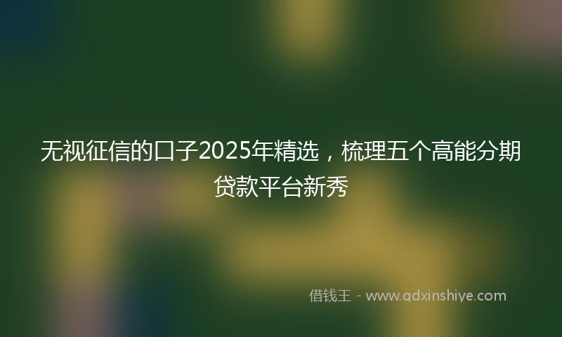 无视征信的口子2025年精选，梳理五个高能分期贷款平台新秀