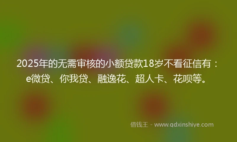 2025年的无需审核的小额贷款18岁不看征信有：e微贷、你我贷、融逸花、超人卡、花呗等。