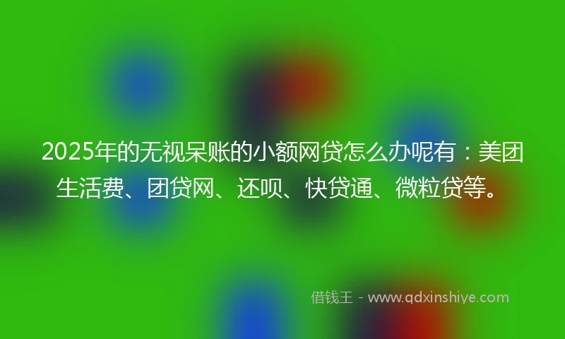 2025年的无视呆账的小额网贷怎么办呢有：美团生活费、团贷网、还呗、快贷通、微粒贷等。