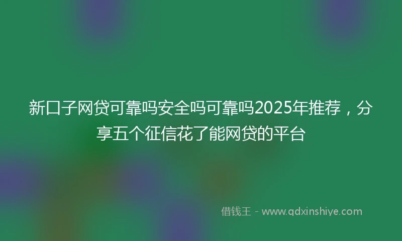 新口子网贷可靠吗安全吗可靠吗2025年推荐，分享五个征信花了能网贷的平台
