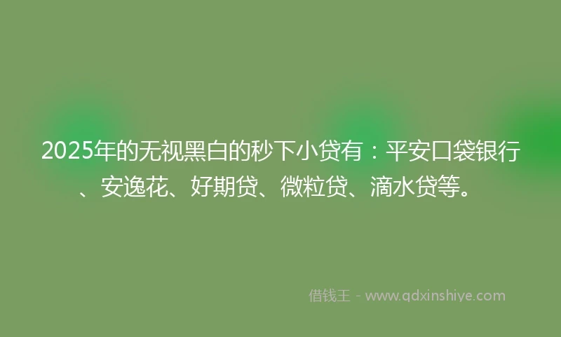 2025年的无视黑白的秒下小贷有：平安口袋银行、安逸花、好期贷、微粒贷、滴水贷等。