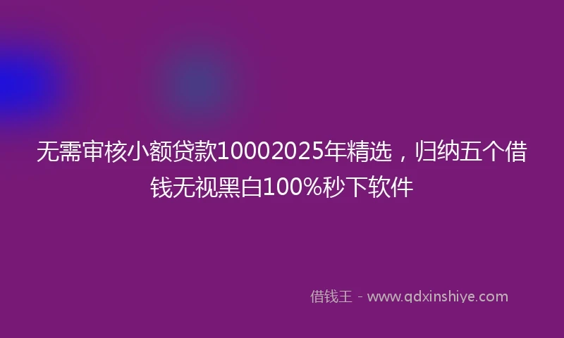 无需审核小额贷款10002025年精选，归纳五个借钱无视黑白100%秒下软件