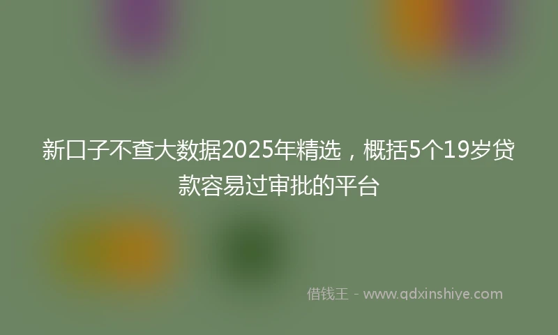 新口子不查大数据2025年精选,概括5个19岁贷款容易过审批的平台