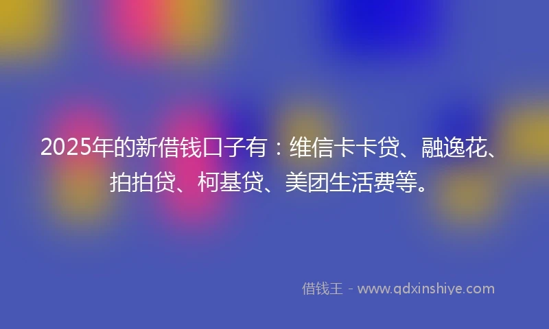 2025年的新借钱口子有：维信卡卡贷、融逸花、拍拍贷、柯基贷、美团生活费等。