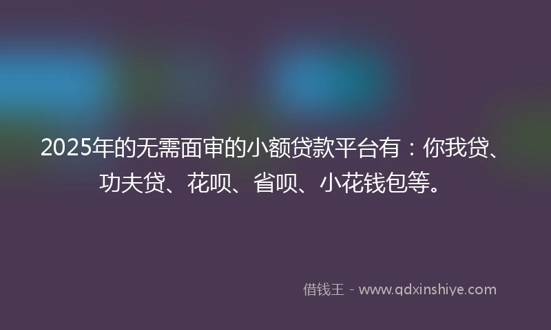 2025年的无需面审的小额贷款平台有：你我贷、功夫贷、花呗、省呗、小花钱包等。