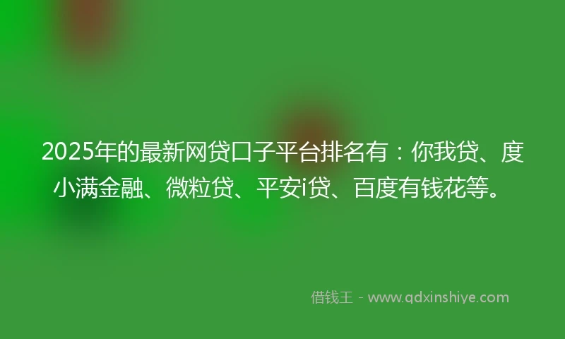 2025年的最新网贷口子平台排名有：你我贷、度小满金融、微粒贷、平安i贷、百度有钱花等。