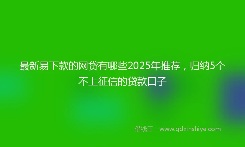 最新易下款的网贷有哪些2025年推荐,归纳5个不上征信的贷款口子