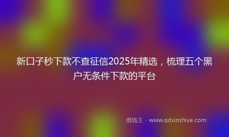 新口子秒下款不查征信2025年精选，梳理五个黑户无条件下款的平台