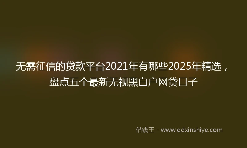 无需征信的贷款平台2021年有哪些2025年精选，盘点五个最新无视黑白户网贷口子