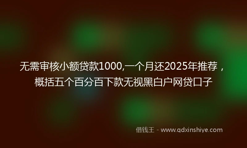无需审核小额贷款1000,一个月还2025年推荐，概括五个百分百下款无视黑白户网贷口子