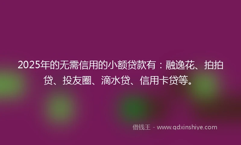 2025年的无需信用的小额贷款有：融逸花、拍拍贷、投友圈、滴水贷、信用卡贷等。
