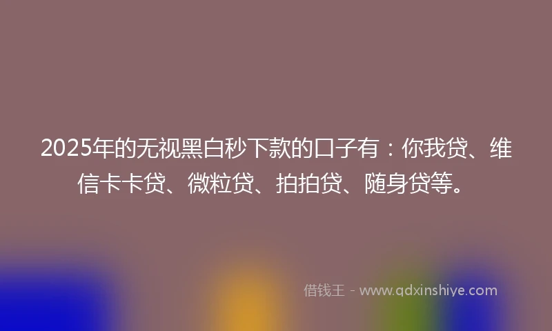 2025年的无视黑白秒下款的口子有：你我贷、维信卡卡贷、微粒贷、拍拍贷、随身贷等。