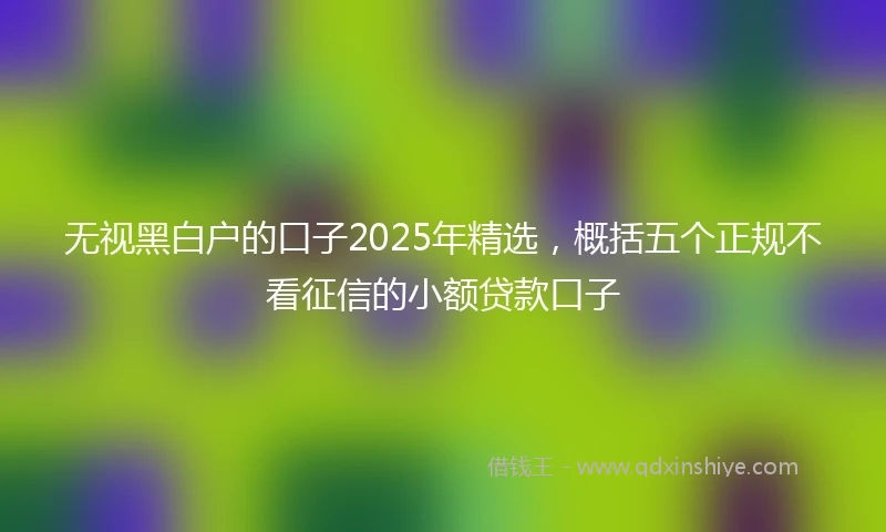 无视黑白户的口子2025年精选，概括五个正规不看征信的小额贷款口子