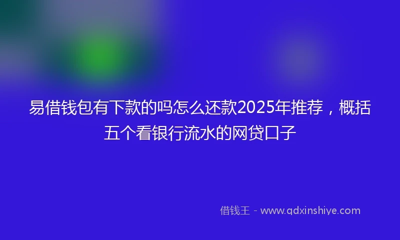 易借钱包有下款的吗怎么还款2025年推荐，概括五个看银行流水的网贷口子