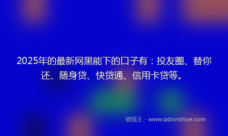 2025年的最新网黑能下的口子有：投友圈、替你还、随身贷、快贷通、信用卡贷等。